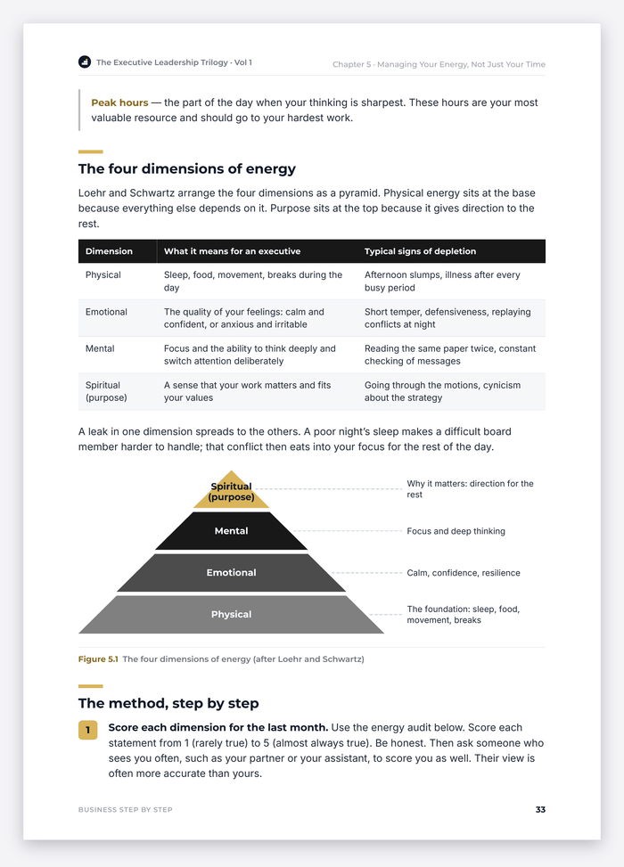 The Executive Leadership Trilogy, Step by Step – sample page 33