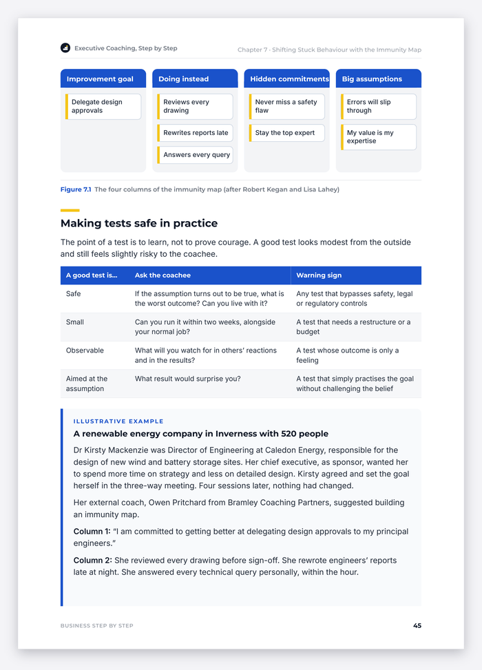 Executive Coaching, Step by Step – sample page 45